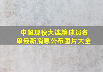 中超现役大连籍球员名单最新消息公布图片大全