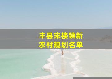 丰县宋楼镇新农村规划名单