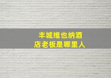 丰城维也纳酒店老板是哪里人