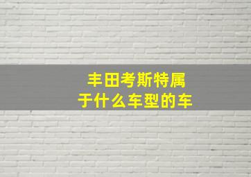 丰田考斯特属于什么车型的车