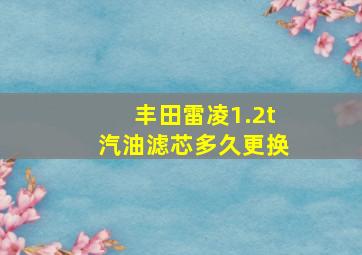 丰田雷凌1.2t汽油滤芯多久更换