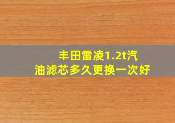 丰田雷凌1.2t汽油滤芯多久更换一次好