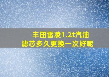 丰田雷凌1.2t汽油滤芯多久更换一次好呢