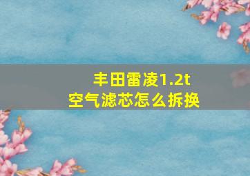 丰田雷凌1.2t空气滤芯怎么拆换