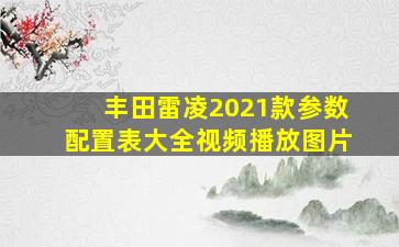 丰田雷凌2021款参数配置表大全视频播放图片