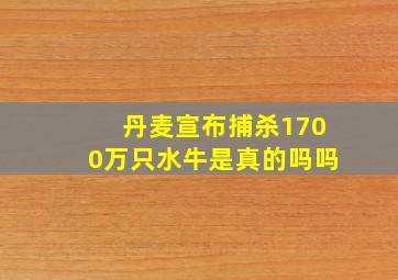 丹麦宣布捕杀1700万只水牛是真的吗吗