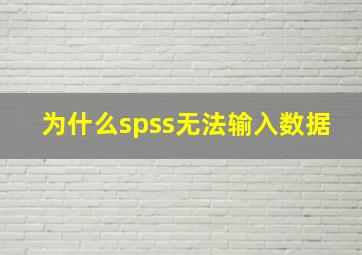 为什么spss无法输入数据