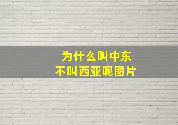 为什么叫中东不叫西亚呢图片