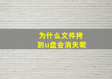 为什么文件拷到u盘会消失呢