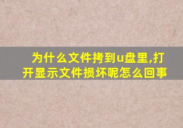 为什么文件拷到u盘里,打开显示文件损坏呢怎么回事