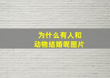 为什么有人和动物结婚呢图片