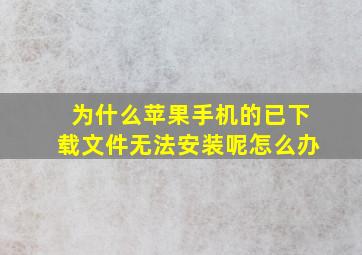 为什么苹果手机的已下载文件无法安装呢怎么办