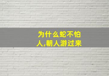 为什么蛇不怕人,朝人游过来