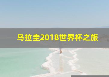 乌拉圭2018世界杯之旅