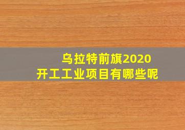 乌拉特前旗2020开工工业项目有哪些呢