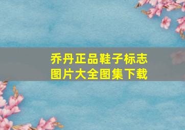 乔丹正品鞋子标志图片大全图集下载