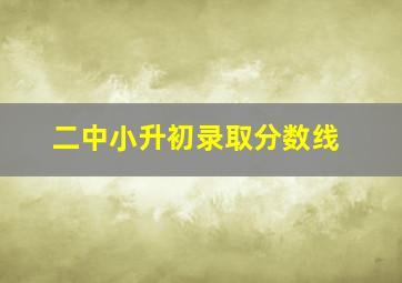 二中小升初录取分数线