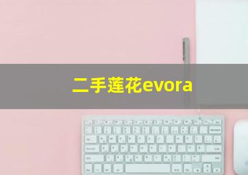 二手莲花evora