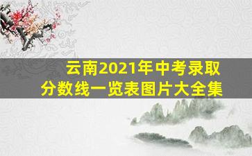 云南2021年中考录取分数线一览表图片大全集