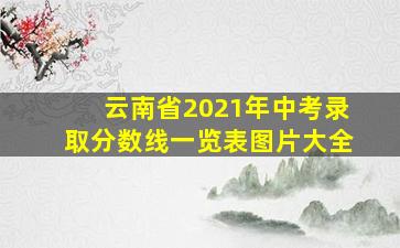 云南省2021年中考录取分数线一览表图片大全