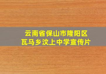 云南省保山市隆阳区瓦马乡汶上中学宣传片