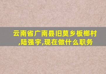 云南省广南县旧莫乡板榔村,陆强宇,现在做什么职务