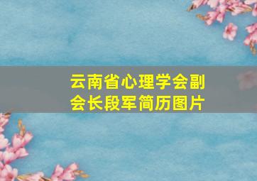 云南省心理学会副会长段军简历图片