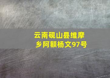 云南砚山县维摩乡阿额杨文97号