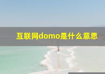 互联网domo是什么意思