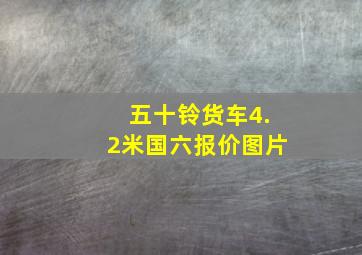 五十铃货车4.2米国六报价图片