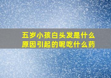 五岁小孩白头发是什么原因引起的呢吃什么药