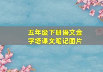 五年级下册语文金字塔课文笔记图片