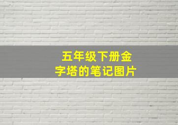 五年级下册金字塔的笔记图片