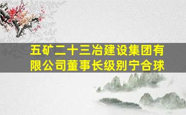 五矿二十三冶建设集团有限公司董事长级别宁合球