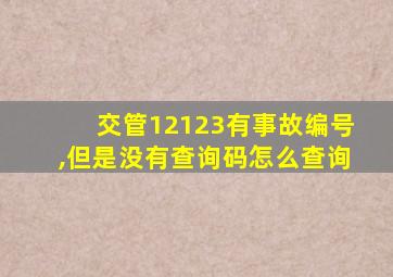 交管12123有事故编号,但是没有查询码怎么查询