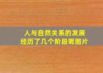 人与自然关系的发展经历了几个阶段呢图片