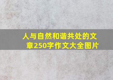 人与自然和谐共处的文章250字作文大全图片