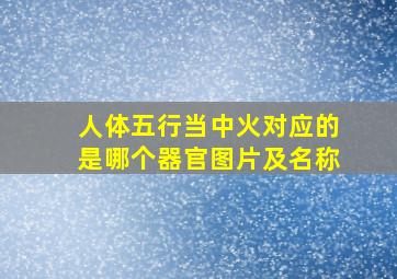 人体五行当中火对应的是哪个器官图片及名称