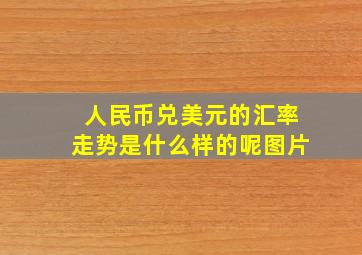 人民币兑美元的汇率走势是什么样的呢图片