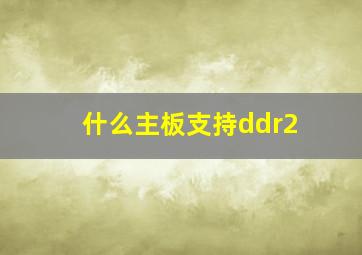 什么主板支持ddr2