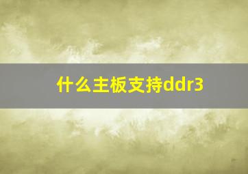 什么主板支持ddr3