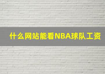 什么网站能看NBA球队工资