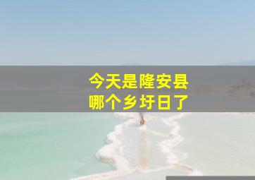 今天是隆安县哪个乡圩日了