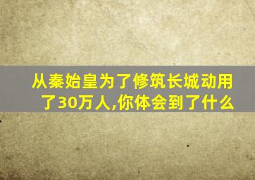 从秦始皇为了修筑长城动用了30万人,你体会到了什么