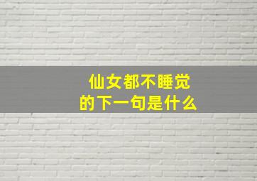 仙女都不睡觉的下一句是什么