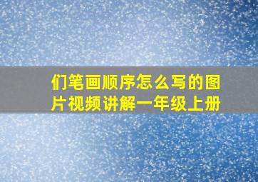 们笔画顺序怎么写的图片视频讲解一年级上册