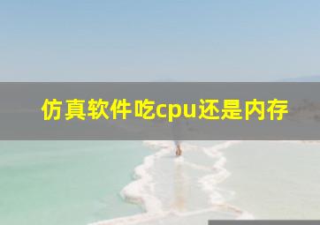 仿真软件吃cpu还是内存