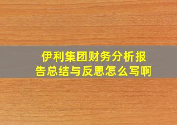 伊利集团财务分析报告总结与反思怎么写啊