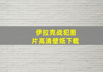 伊拉克战犯图片高清壁纸下载