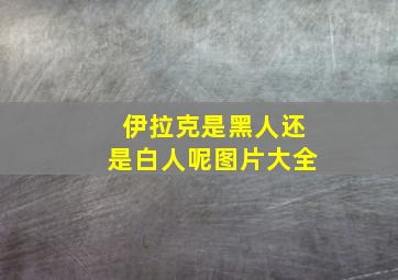 伊拉克是黑人还是白人呢图片大全